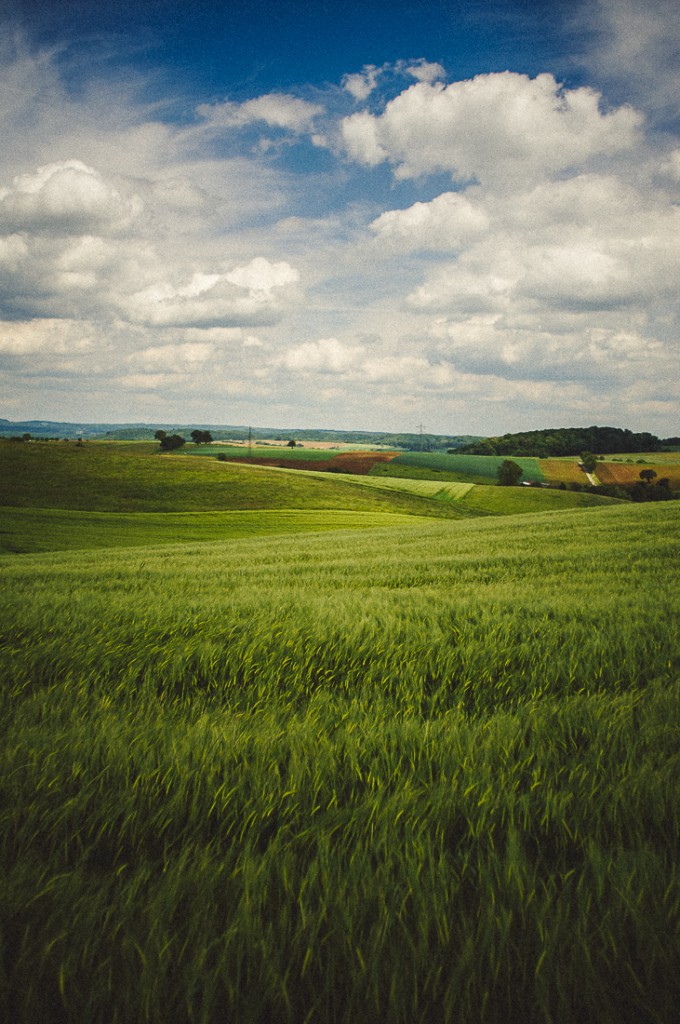 Leider habe ich nie Fotos von der "Wheel Ranch" direkt gemacht... aber diese Landschaft hier war nur ca. 1km entfernt... eine ziemliche Verbesserung, insbesondere wenn man bedenkt, was vorher alles geschehen war...