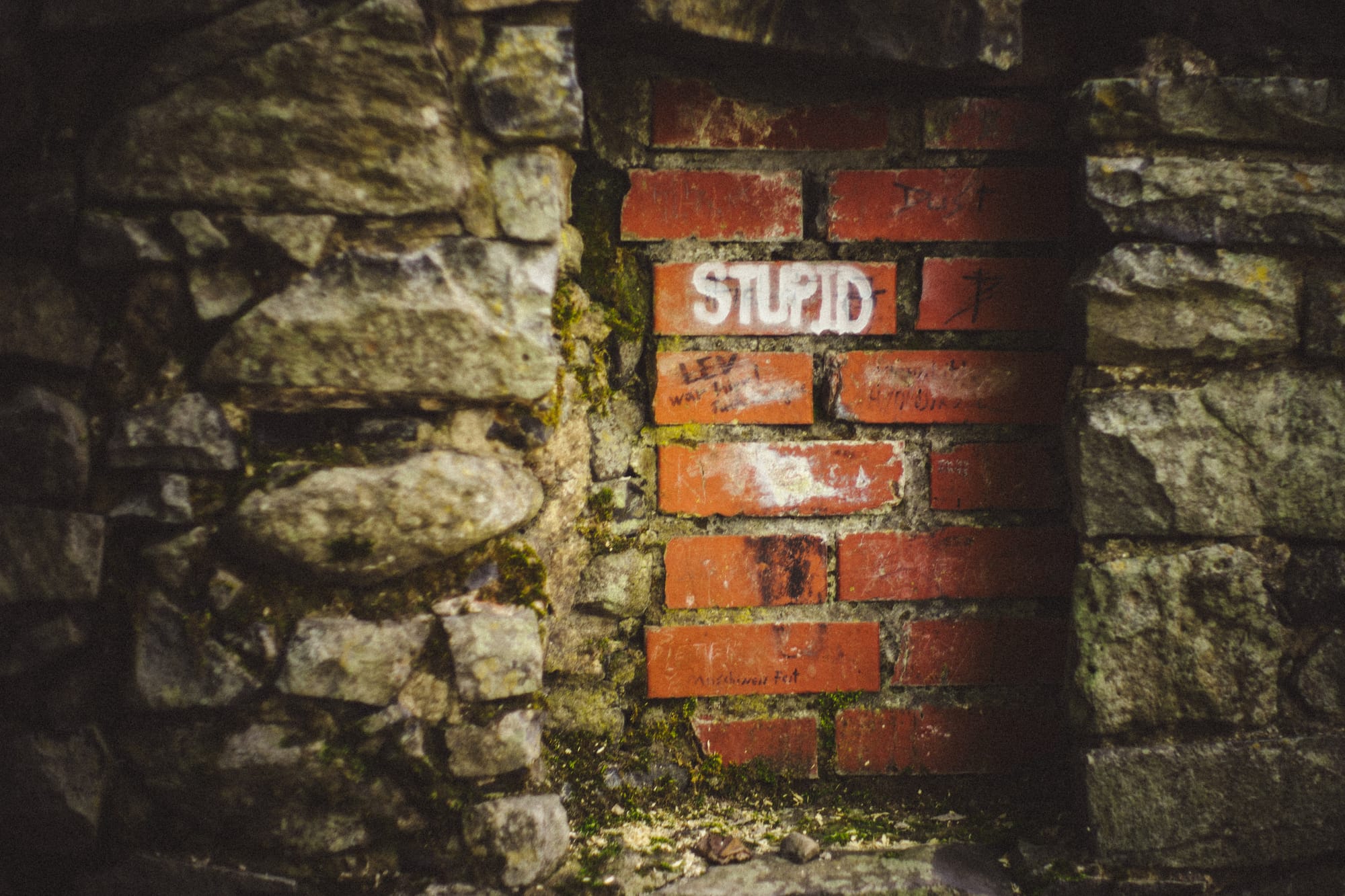 Eine Backsteinmauer zurückgesetzt in einer Natursteinmauer mit der Aufschrift "STUPID".