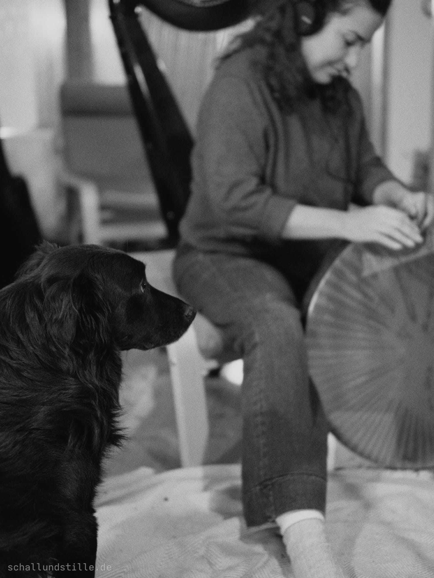 Ein Hund hört zu, wie eine Person ein großes, rundes Percussion-Instrument spielt