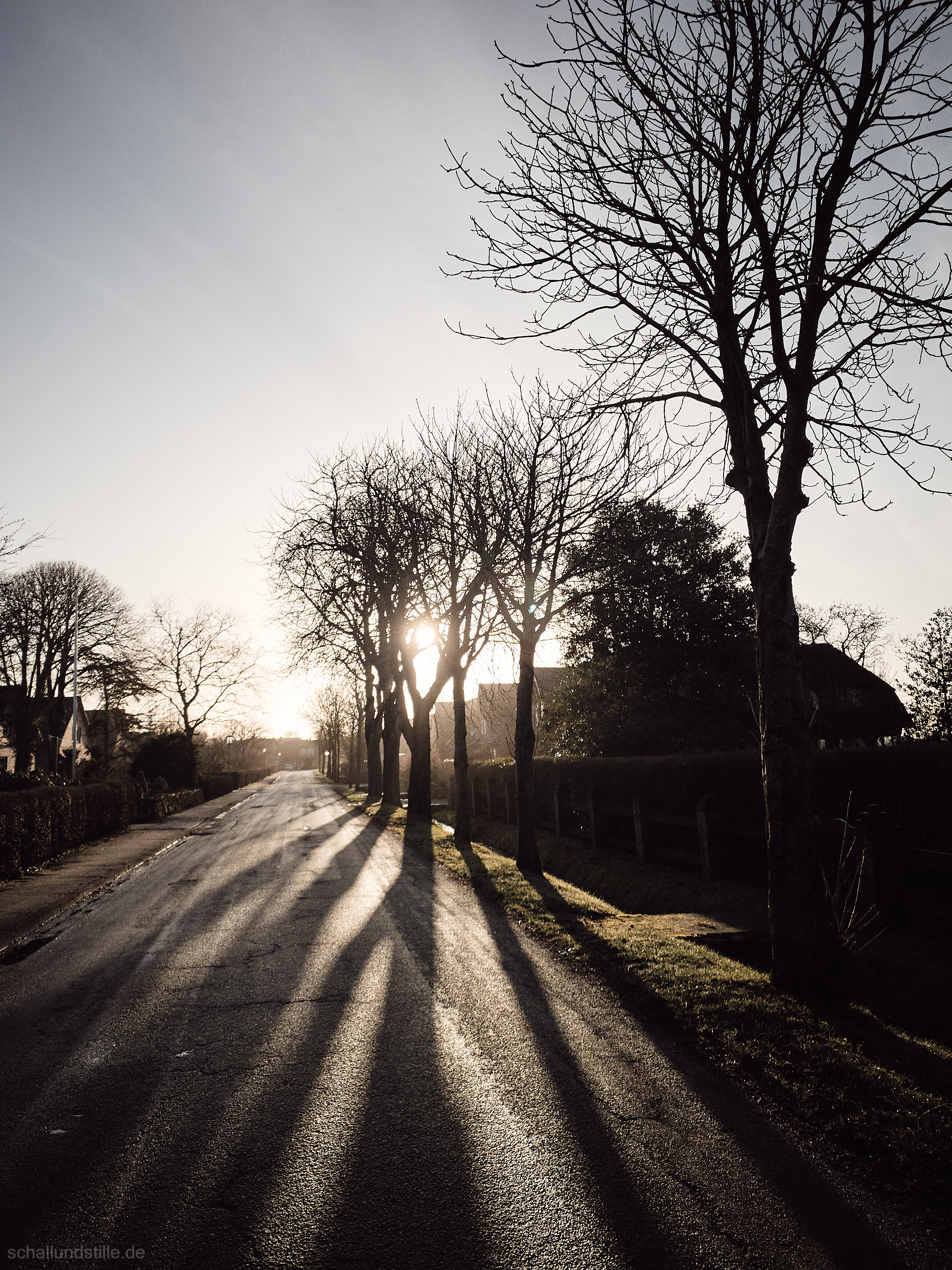 a village street in winter with sunlit silhouettes of trees at the side