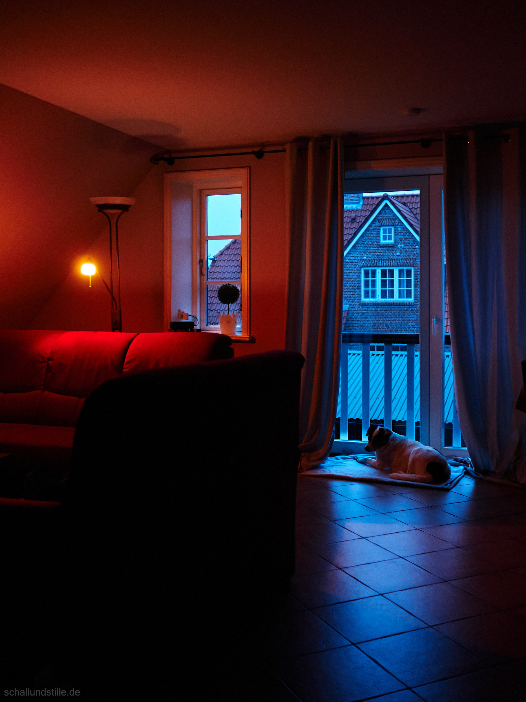a dog resting at a window at the break of dawn. a single lightbulb is illuminating the room. the dawn casts a blue light into the room, the lightbulb shines red.