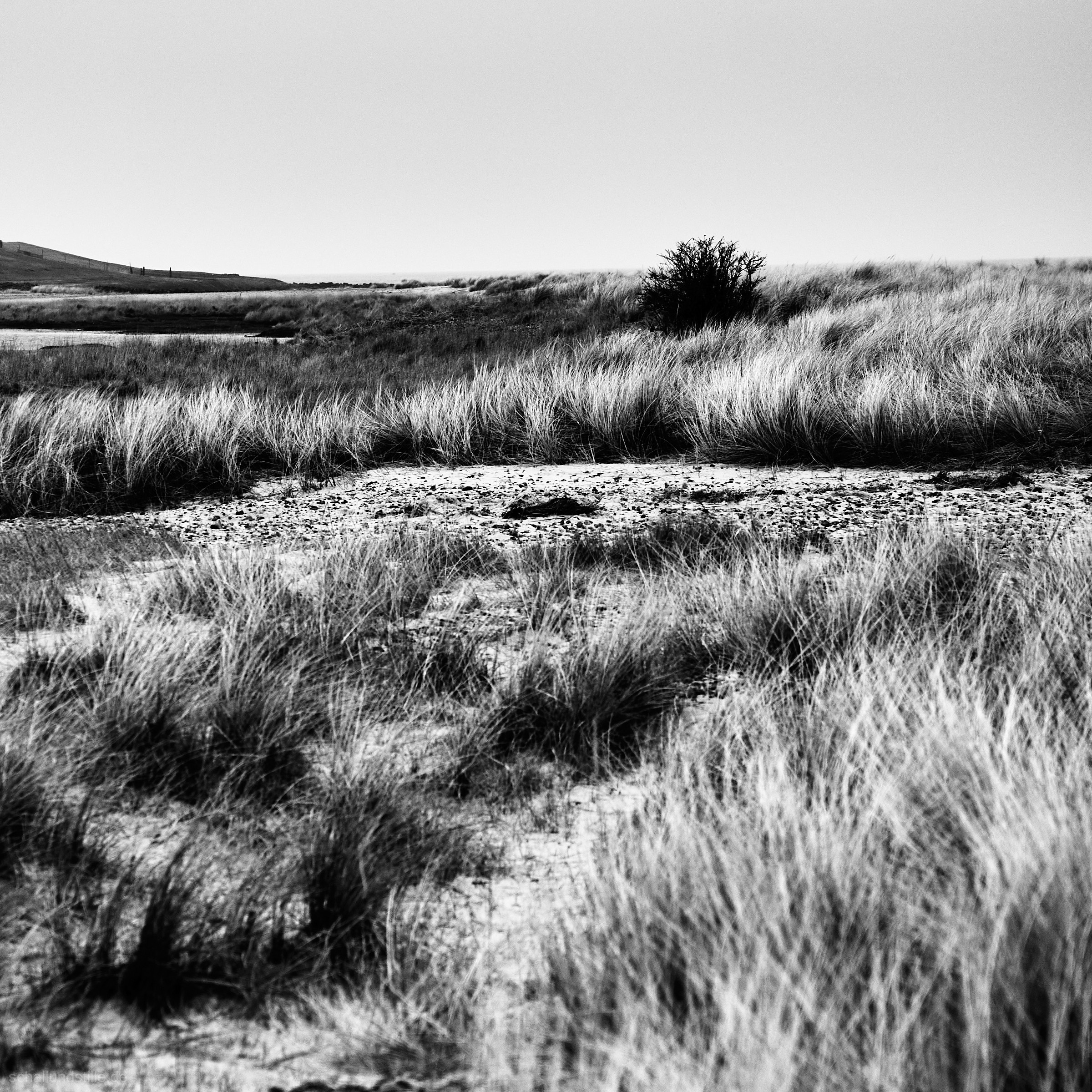 a sparse dune landscape in black and white