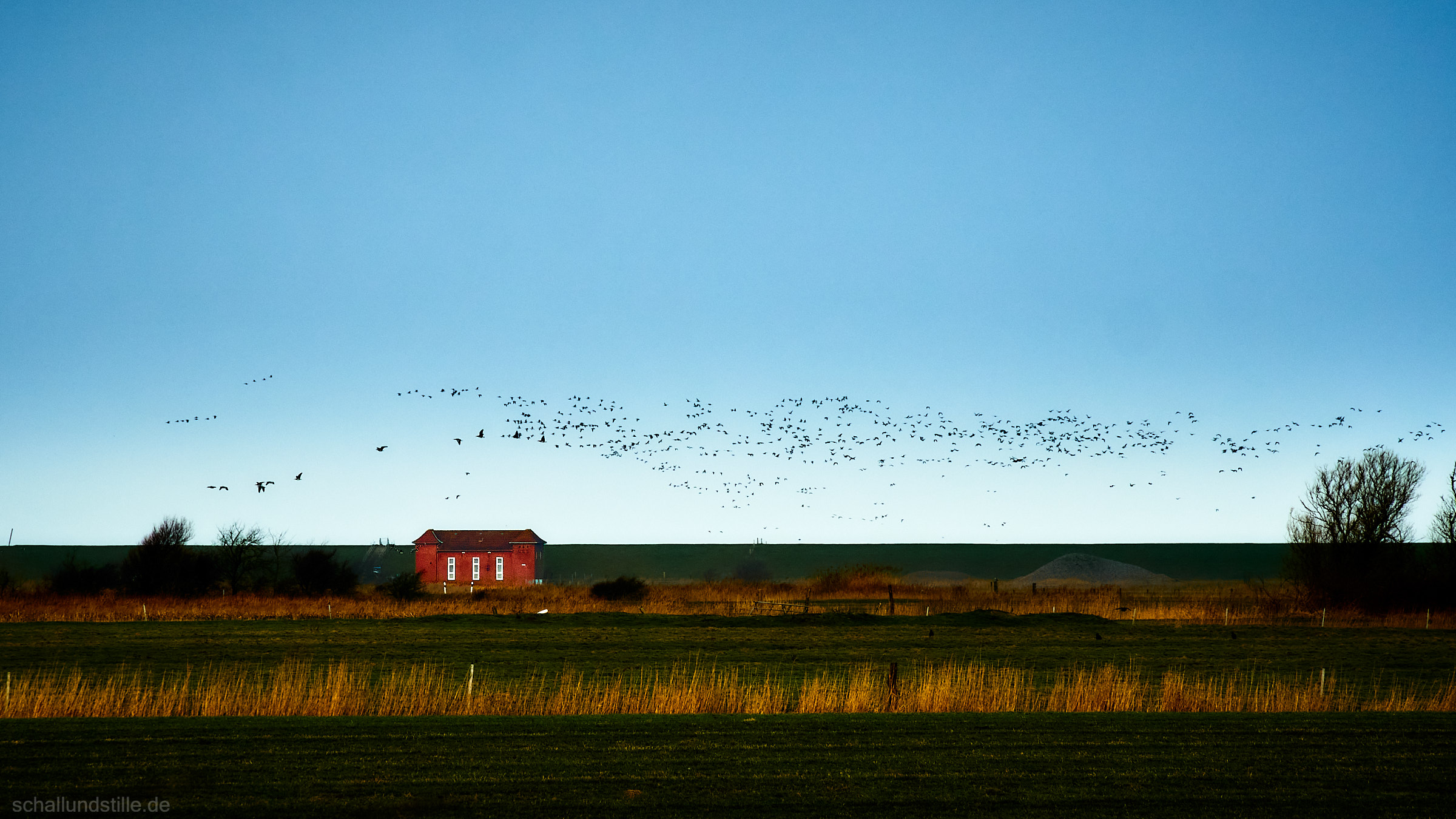 the föhr north pumping station seen from the distance across some fields, with a flock of seabirds circling before it