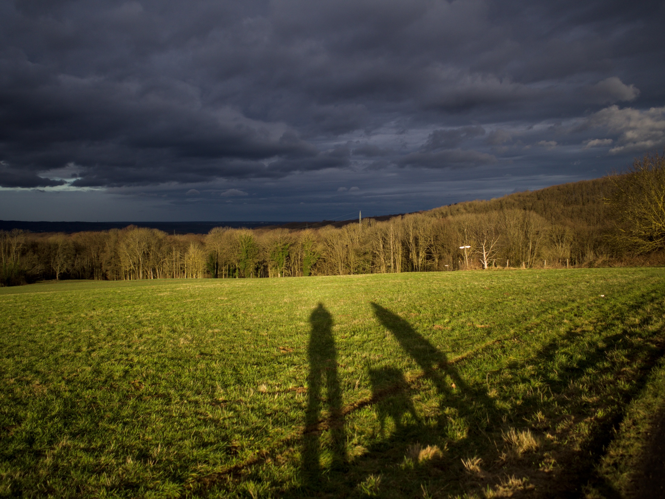 a green meadow with three shadows before a stormy cloudscape and a forest in the distance