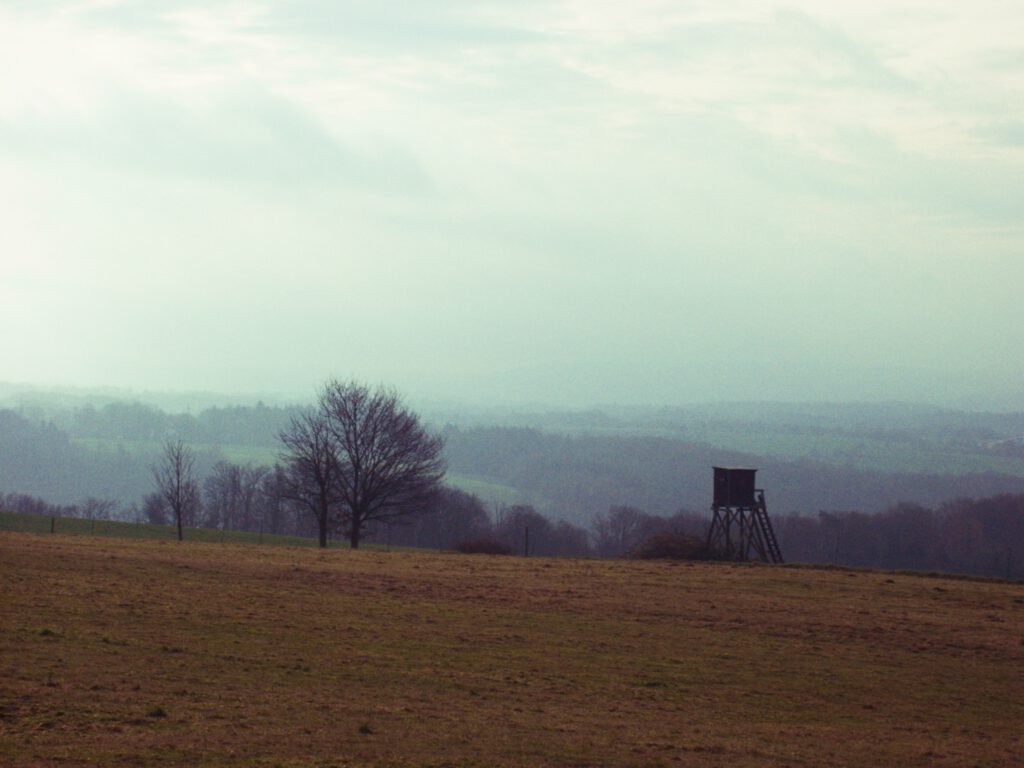 A meadow with a foggy hillscape in the background. A raised hide and some bushes are in the foreground. 