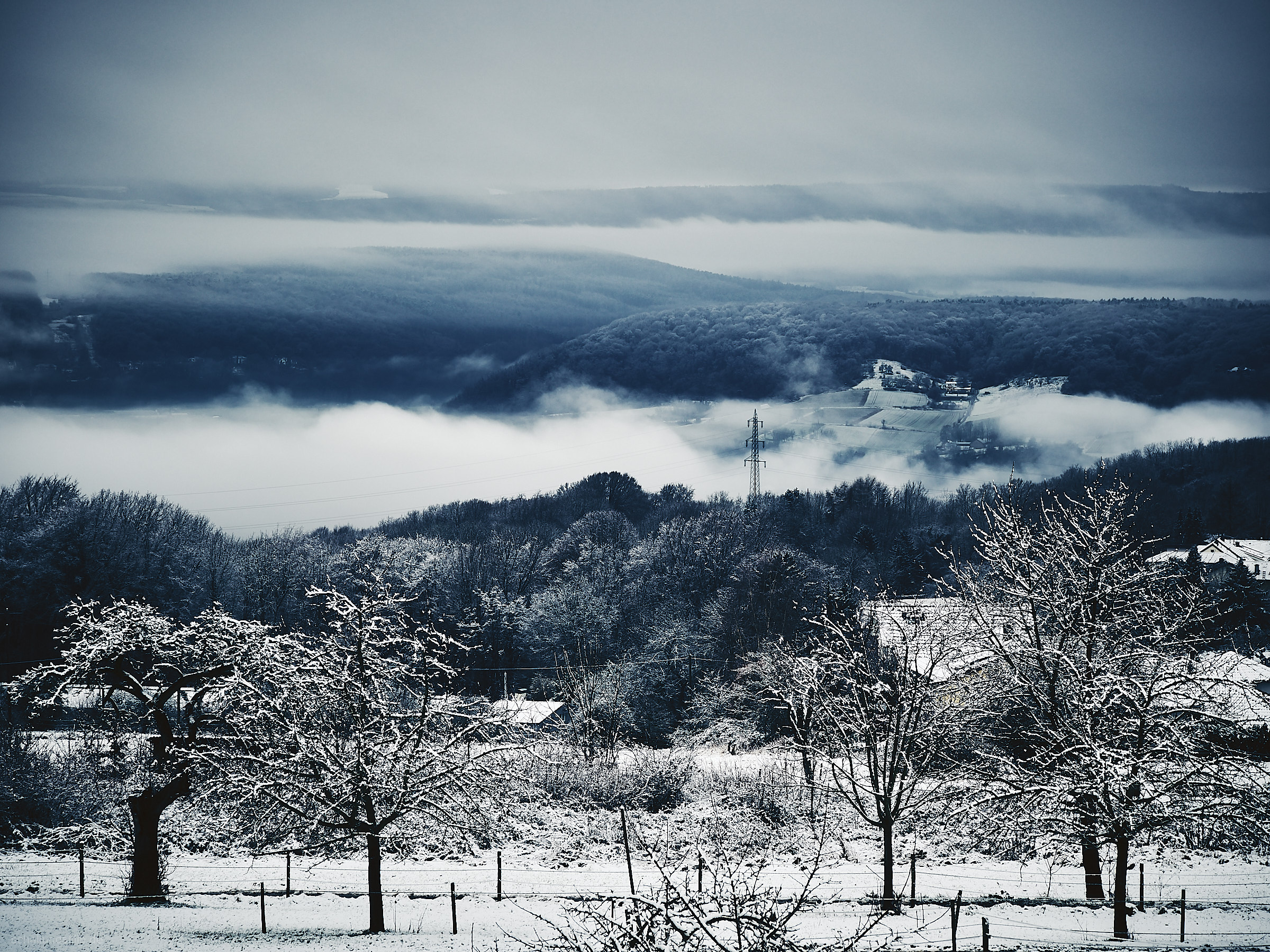 A snowy landscape with some fruit trees in the foreground and distant mountains and hills covered in fog.