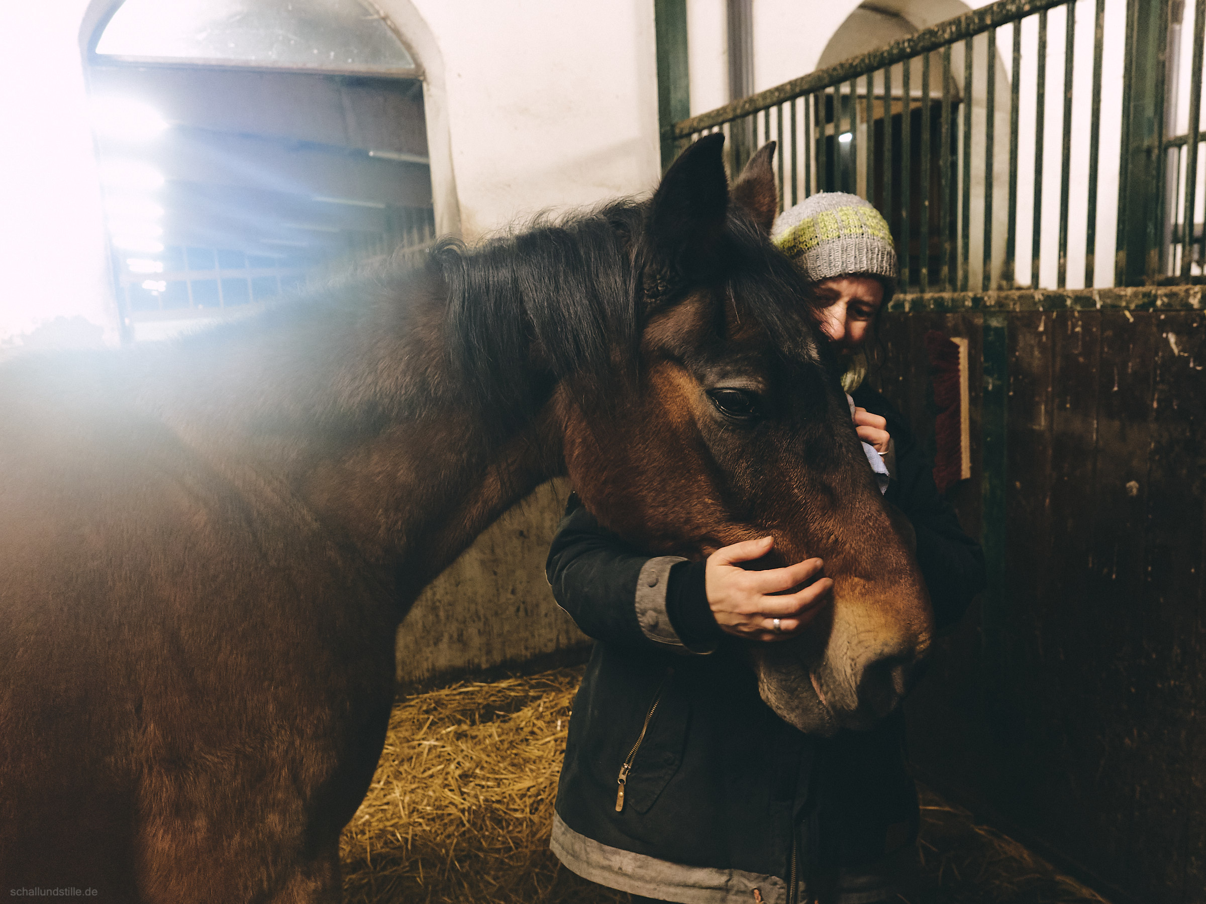 A horse and a woman in a horse's box. The woman is holding the horse's head and cleaning his eyes.