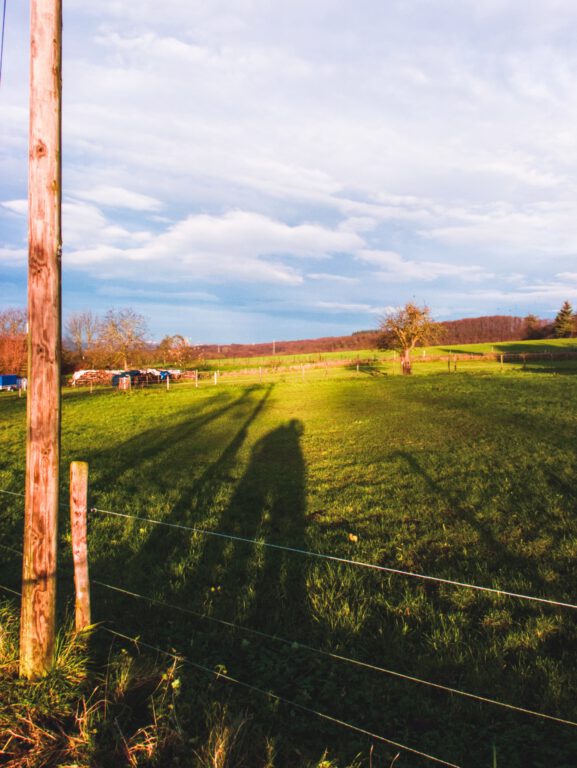 shadow of a couple of people on a meadow behind a telegraph pole