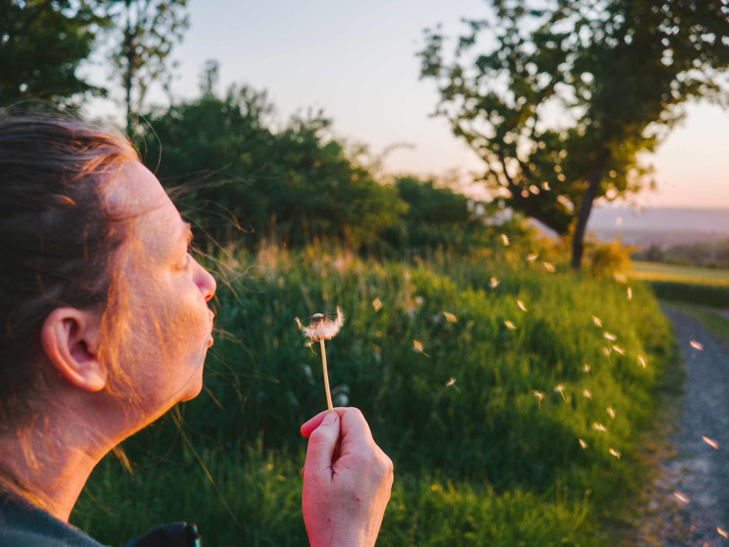 A woman blowing over a dandelion.