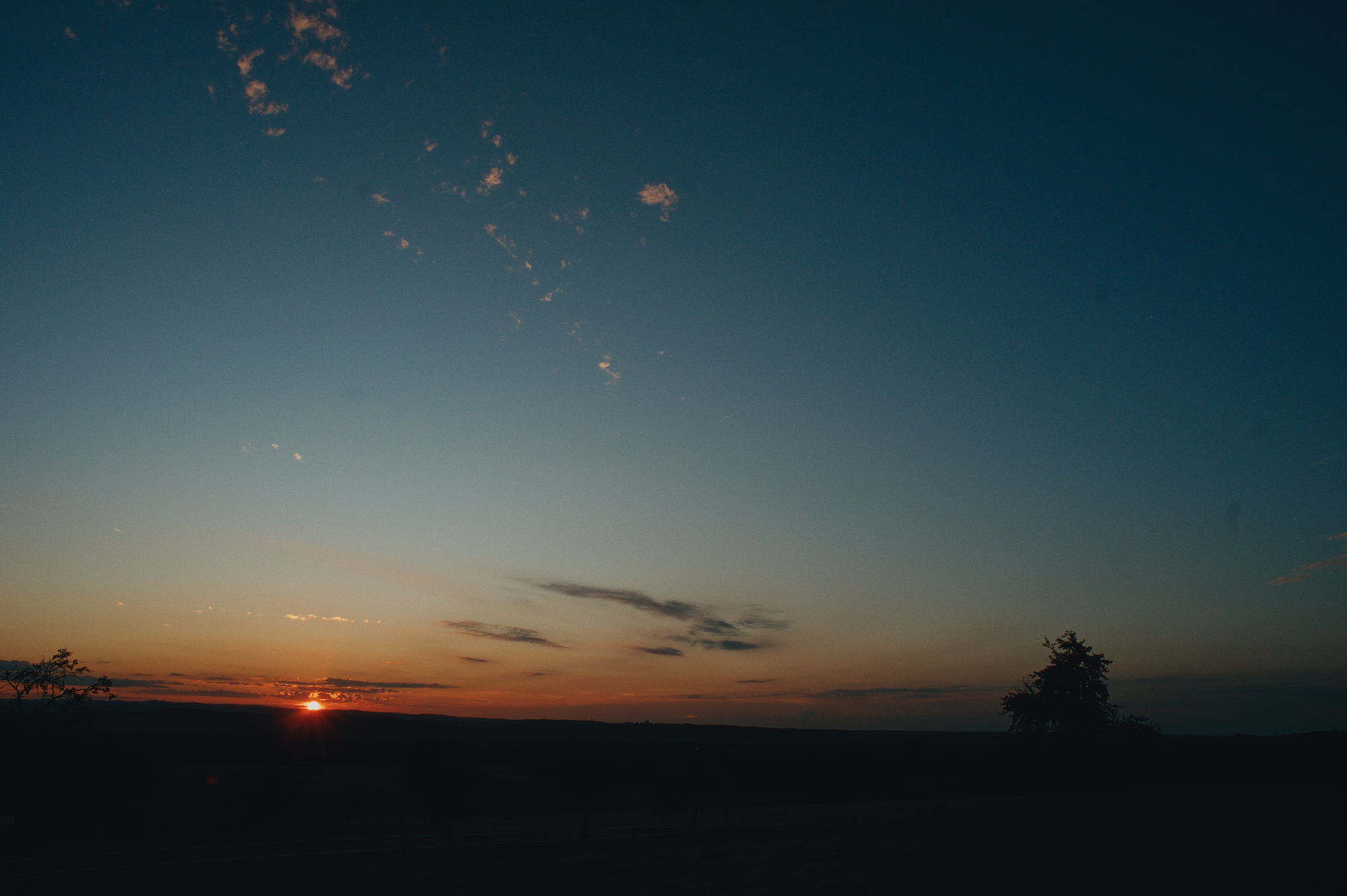 the silhouette of a tree to the right and the setting sun to the left. really small clouds are scattered in a mostly dark grey/blue sky